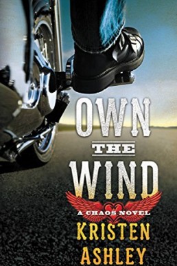 Own the Wind_ A Chaos Novel (11435)