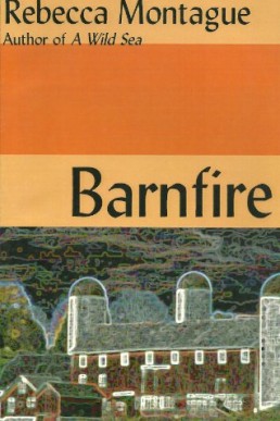 Barnfire (8858)
