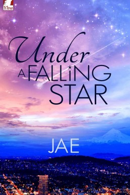 Under a Falling Star (Unexpected Love #1)