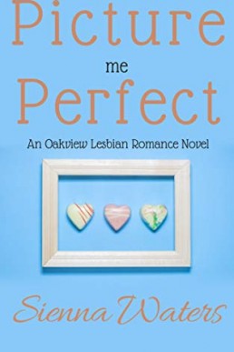 Picture Me Perfect (Oakview, #7) (7489)