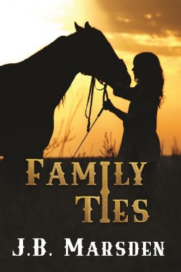 Family Ties (A Valley View Romance #3)