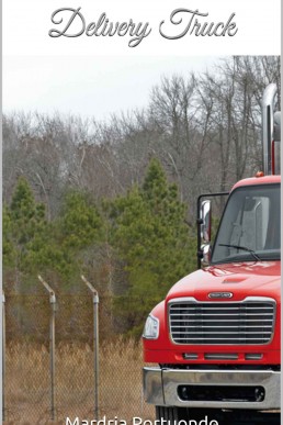Delivery Truck (5985)