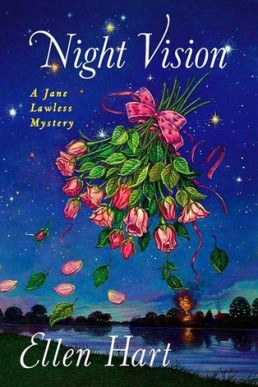 Night Vision (Jane Lawless #14)