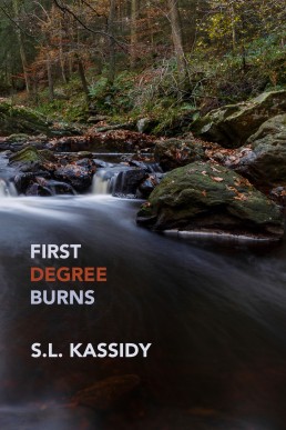 First Degree Burns (Scarred #4)