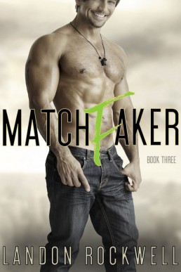 Matchfaker (Matchfaker Book 3)
