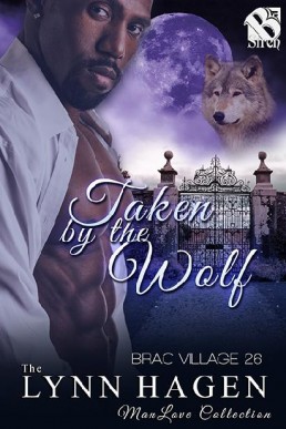 Taken by the Wolf (Brac Village #26)