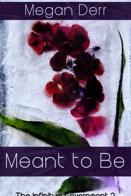 Meant to Be (Infinitum Government 2)