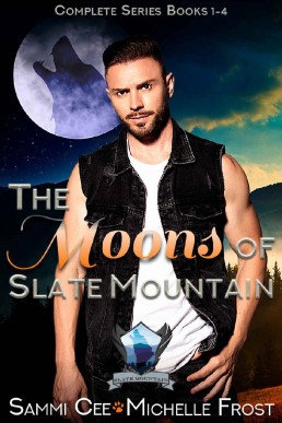 The Moons Of Slate Mountain_ The Com (89)