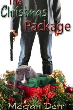 The Christmas Package (971)