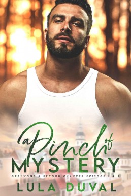A Pinch of Mystery (Greywood's Second Chances 1)