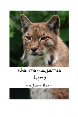 Lynx (Tales of Tavamara Book 2.5)