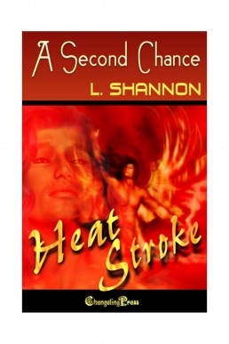 A Second Chance (Chances #2) (920)