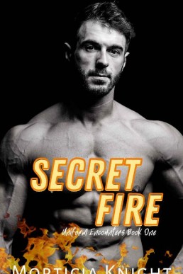 Secret Fire (Uniform Encounters  #1)
