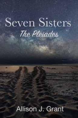 Seven Sisters : The Pleiades