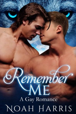 Remember Me_ A Gay Romance (Paranor (129)