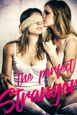 The Perfect Stranger (1877)