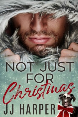 Not Just For Christmas
