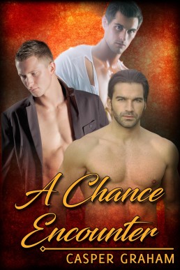 A Chance Encounter (717)