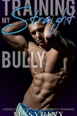 Training My Straight Bully (College Submission 3)
