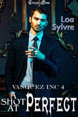 A Shot at Perfect (Vasquez Inc 4) (975)