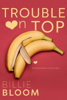Trouble on Top (Bromance Chronicles #1)