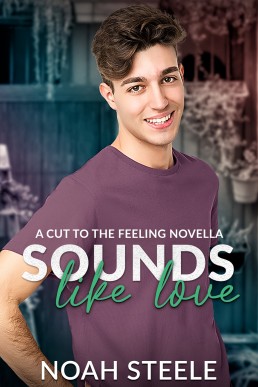 Sounds Like Love (Cut to the Feeling #3.5)