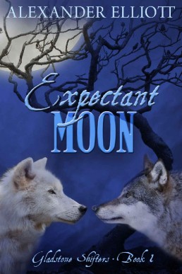 Expectant Moon (Gladstone Shifters (2106)