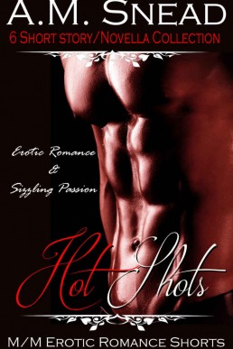 Hot Shots_ M_M Romance Collection (1736)