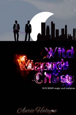 Wild Wizard Chase (Spell and Fang 1)