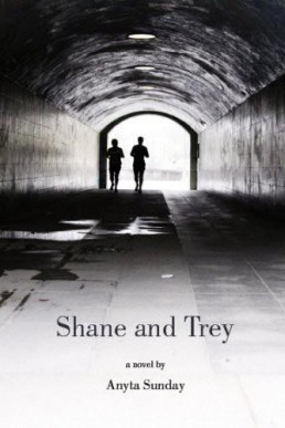 Shane and Trey[ Enemies to Lovers 0 (2236)