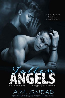 Fallen Angels_ Fallen Book 1 (a Boy (5312)