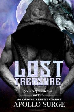 Lost Treasure_ M_M Wolf Shifter Par (2279)