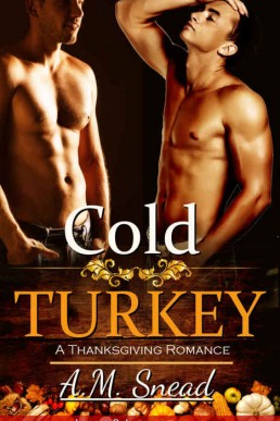 Cold Turkey (John & Luke - Pt 1) (5316)