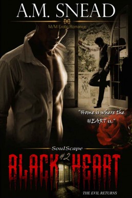Black Heart (Soulscape #2) (1743)