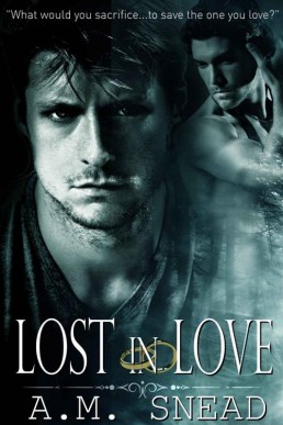 Lost In Love (1735)