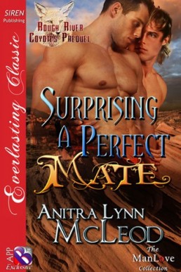 Surprising a Perfect Mate [Rough Ri (855)