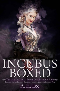 Incubus Boxed_ The Incubus Series B (1450)