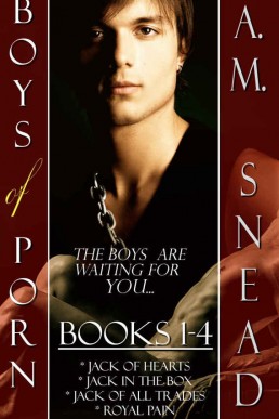 BOYS OF PORN_ Books 1-4 Bundle (5314)