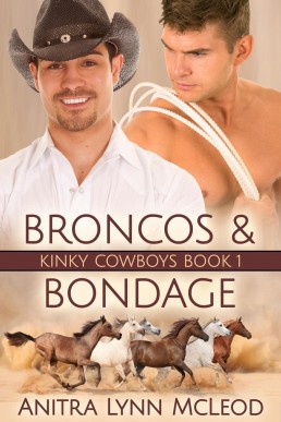 Broncos & Bondage (3834)