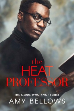 The Heat Professor (Nerds Who Knot 4) 2nd edition with bonus story
