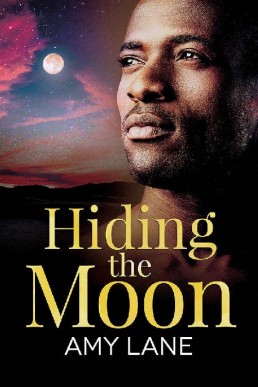 Hiding the Moon (Fish Out of Water 4)