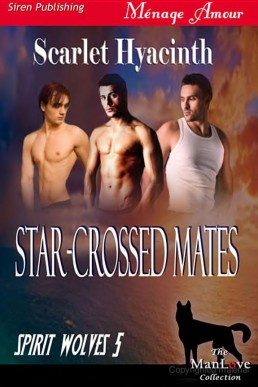 Star-Crossed Mates (13052)