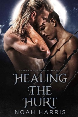 Healing the Hurt_ A Dark Fated Mat (11353)