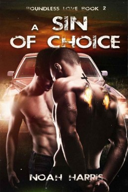 A Sin of Choice_ A Paranormal Gay (12564)