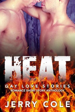 Heat_ Gay Love Stories (Romance Sho (8260)