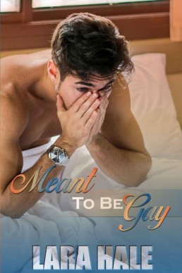 Meant To Be Gay (Moving Forward Boo (9413)