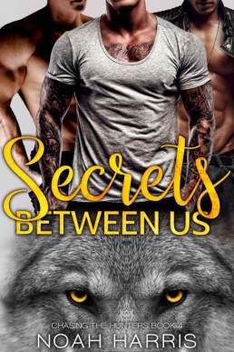 Secrets Between Us (Chasing The Hunters #4)