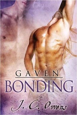Gaven_ The Bonding (5774)