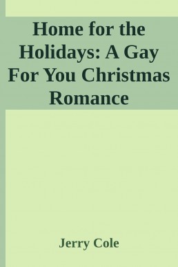Home for the Holidays: A Gay For You Christmas Romance