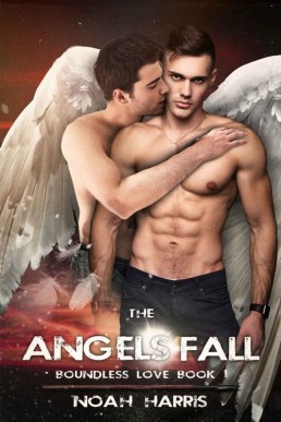 The Angels Fall (Boundless Love Bo (12560)